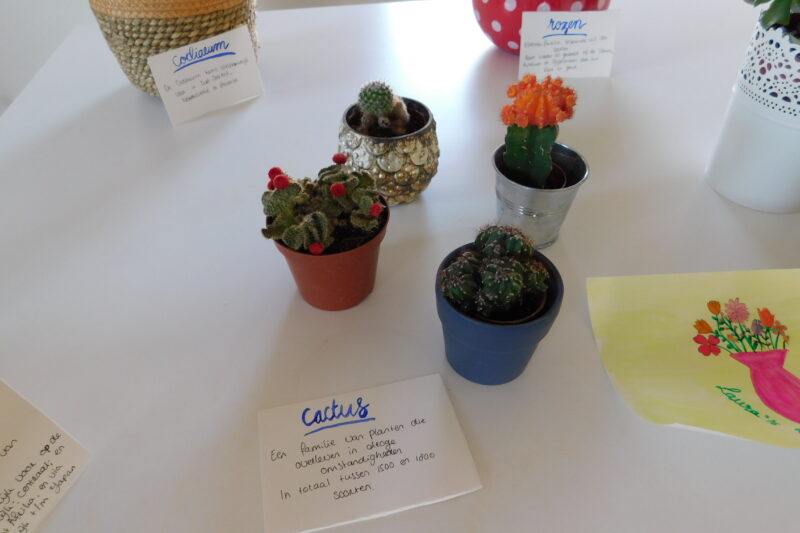 Een foto van een aantal plantjes met daarbij zelfgeschreven informatiebordjes
